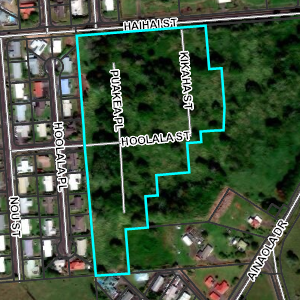Aerial view of Waiakea Nani Estates
